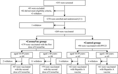 Effect of an inactivated coronavirus disease 2019 vaccine, CoronaVac, on blood coagulation and glucose: a randomized, controlled, open-label phase IV clinical trial